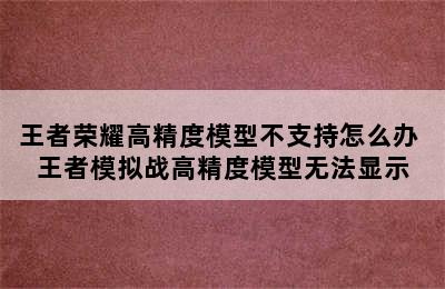 王者荣耀高精度模型不支持怎么办 王者模拟战高精度模型无法显示